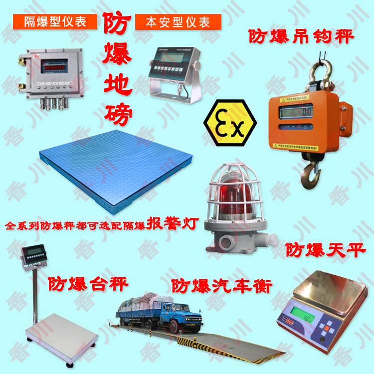 防爆电子秤 十二大分类