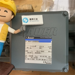 爱泽工业到货产品专题及库存 ——BAUER篇