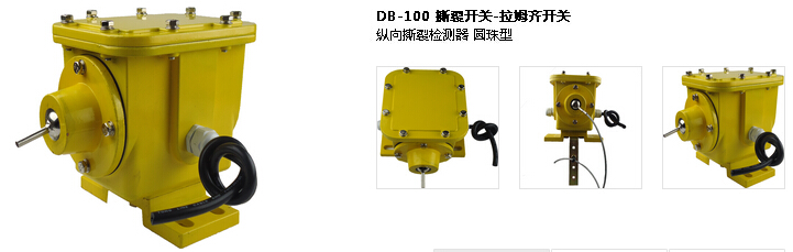 防爆型撕裂开关DBX-100 横向纵向检测 防爆型撕裂开关DBX-100 横向纵向检测