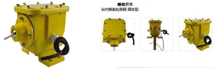 防爆型撕裂开关DBX-100 横向纵向检测 防爆型撕裂开关DBX-100 横向纵向检测