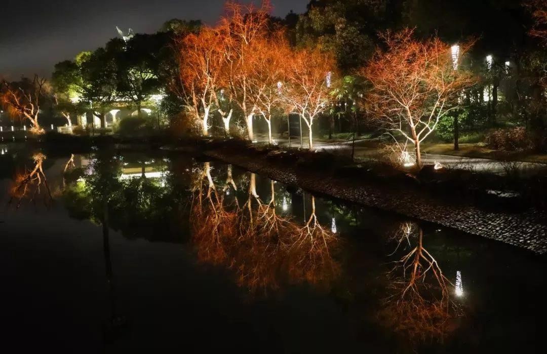 中国十大公园夜景照明工程