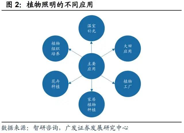 植物照明产业研究：行业发展迅速，市场规模不断增长