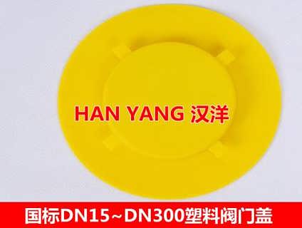 DN125法兰封盖|聚丙烯
