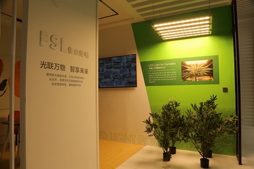 直击光亚展：领略当下风光，探索LED照明新十年