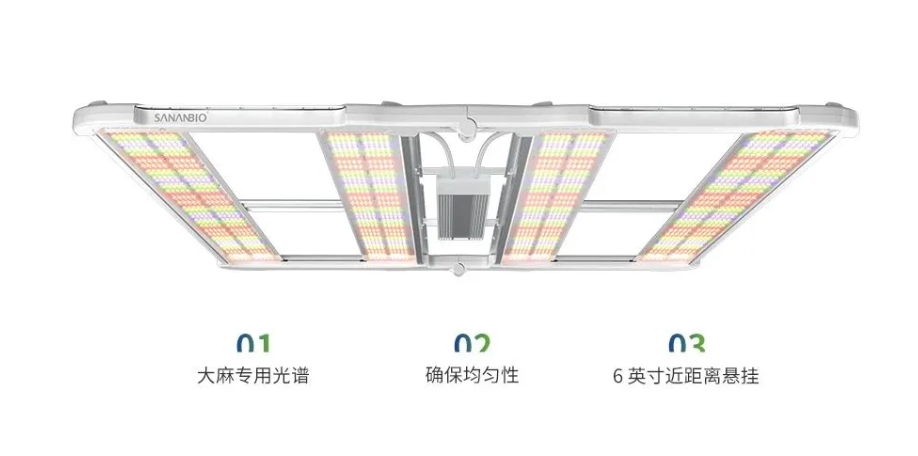 再来一波！2021光亚展上的“行业首创”