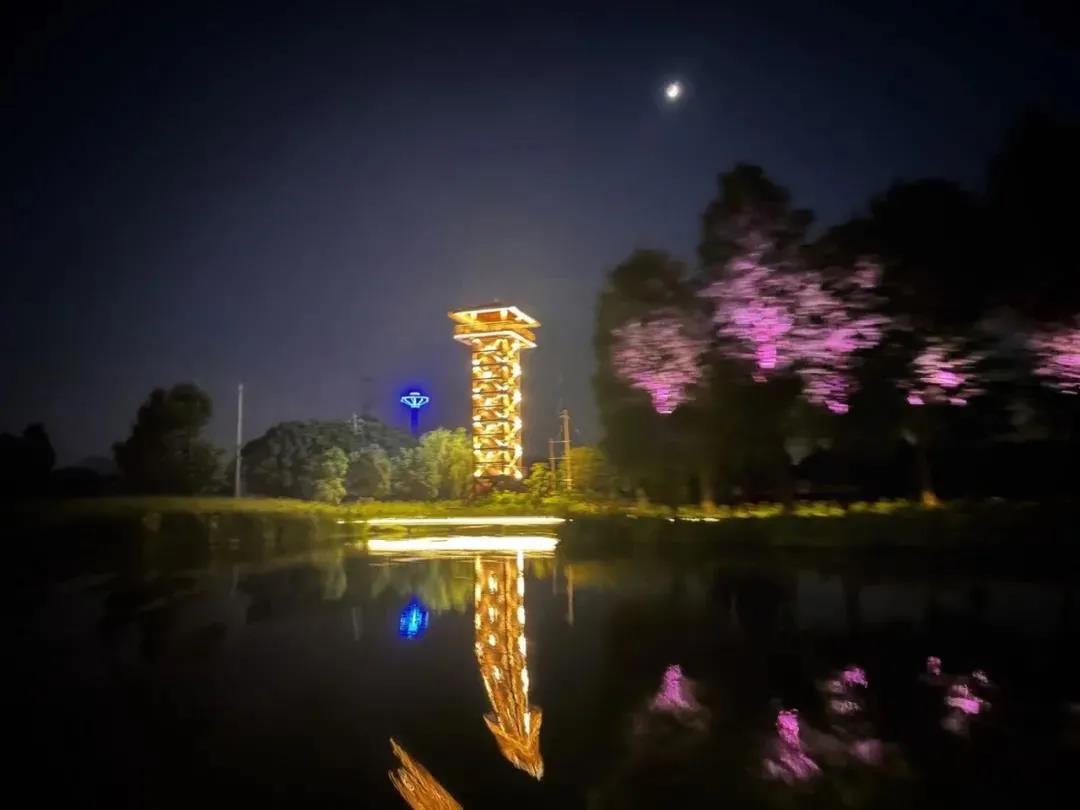 饱览多个灯光夜景的杭州环阳陂湖夜游专线开航