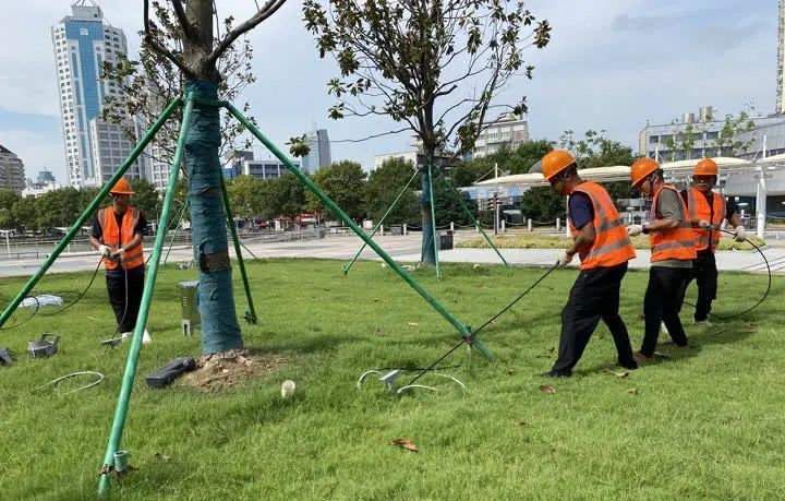 江苏南通环西文化广场亮化提升工程完工