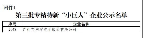 浩洋股份入选国家级专精特新“小巨人”企业