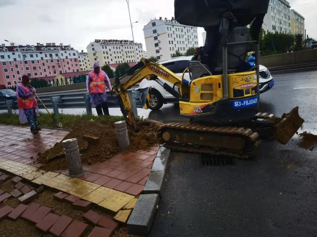 204国道青岛洋河崖桥至黄山段实现道路照明全线亮灯