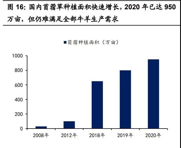 木林森专题报告：照明产业链领先企业，发力植物照明新蓝海