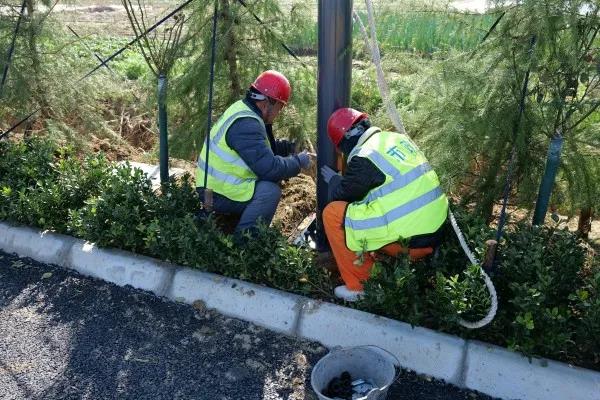 山东枣庄滕州龙岭路照明设施安装完毕