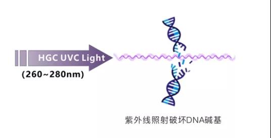 华引芯UVC深紫外科技助力北京冬奥疫情防控