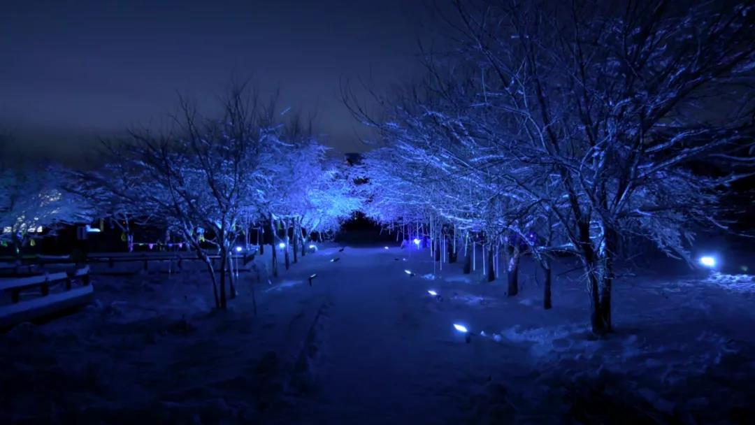 内蒙古呼伦贝尔根河敖鲁古雅使鹿部落景区打造夜景灯光雪雕