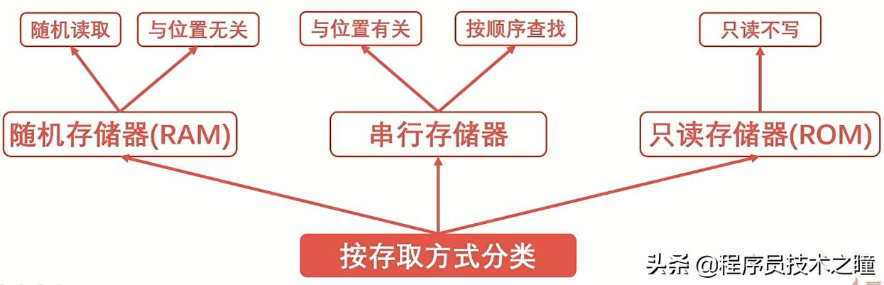 记忆弥足珍贵 存储器几乎成了它们的唯一依赖