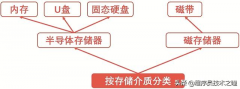 记忆弥足珍贵 存储器几乎成了它们的唯一依赖