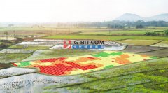 MEMS传感器将为新农业带来哪些革新？