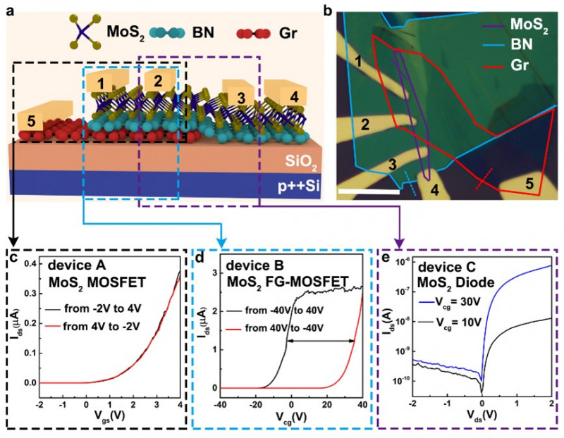南京大学 | 基于MoS2-BN-Graphene范德华异质结的多功能半浮栅晶体管