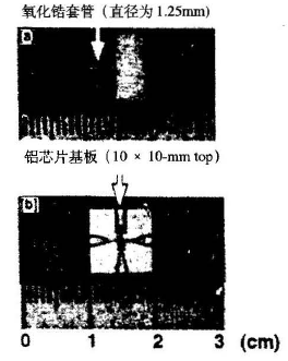 光纤连接器新型插座光纤模块 光纤连接器新型插座光纤模块