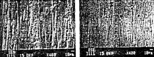 铜合金接触件镍镀层抑制环境腐蚀的有效性
