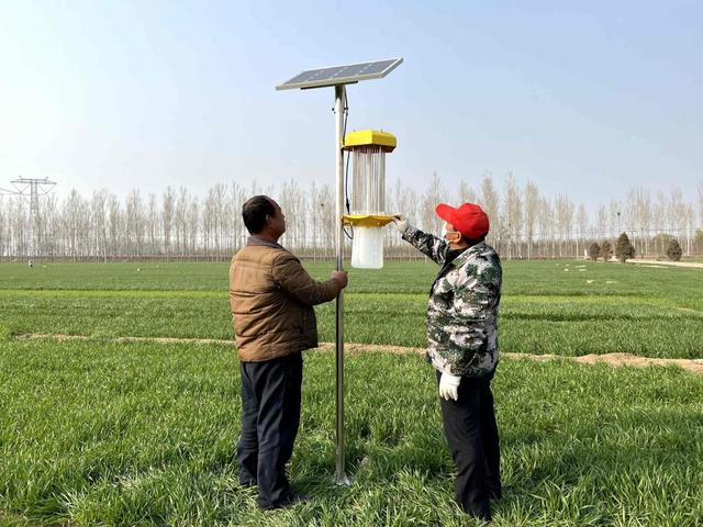 高空测报灯、太阳能杀虫灯助力河北邢台任泽区曲辛庄村除虫害