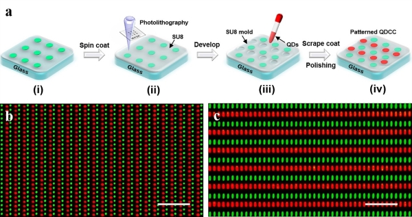 长春光机所和北理工研究员合作：Micro-LED量子点色转化阵列器件研究取得进展