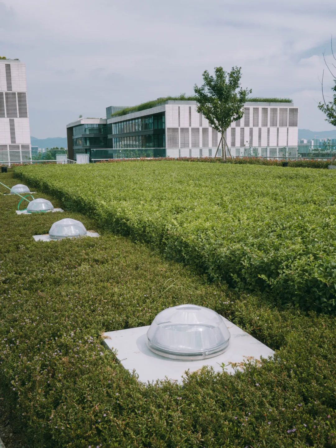 节能照明技术助成都中建滨湖设计总部成蓉城首个“近零碳建筑”