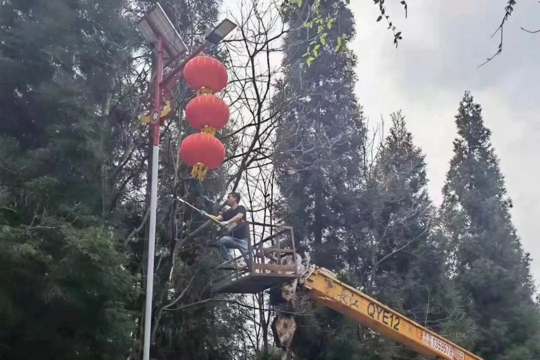 新装太阳能路灯照亮贵州毕节织金县自强乡乡村振兴路