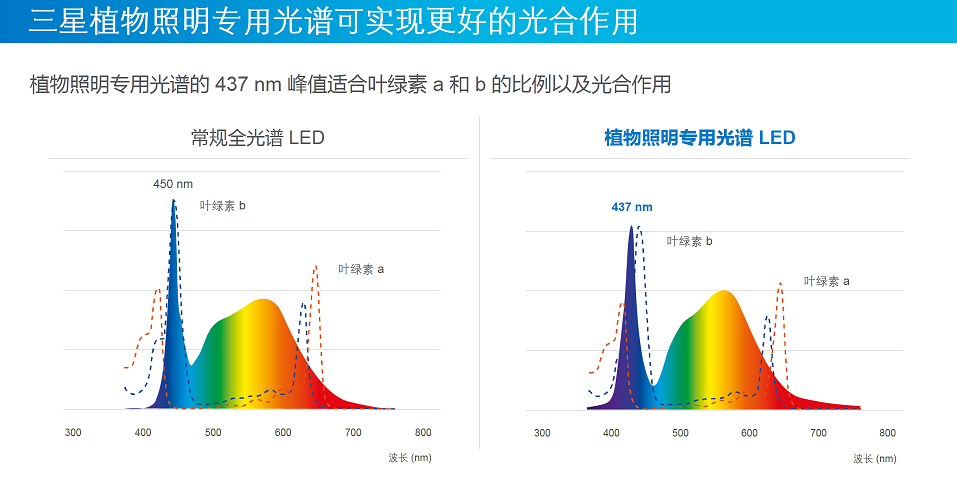 三星LED通过437nm峰值波长的植物照明专用光谱，实现植物工厂种植生菜减排6%！