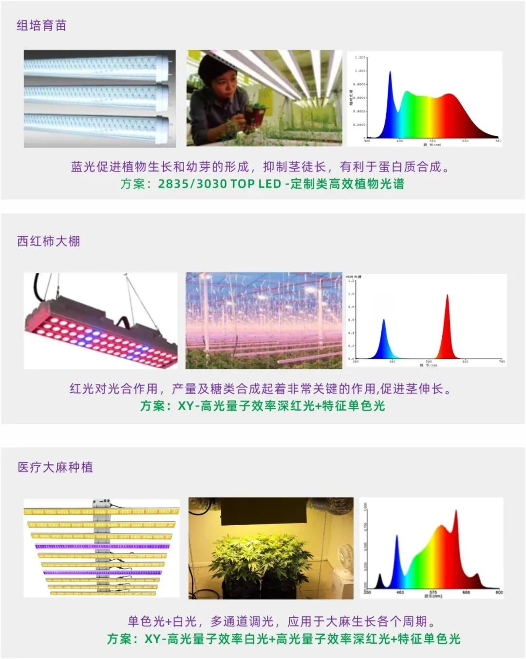 旭宇光电高光量子效率植物光照LED，获国际先进水平认定 