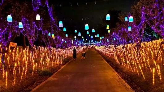 上海青浦区寻梦源灯光艺术节开启夏日景区“夜游模式”