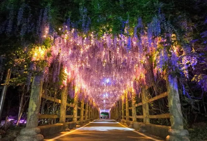 “美景 夜漂”出圈，漂流景区夜游玩出新花样！