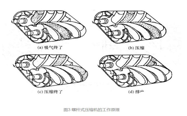 螺杆式空压机工作原理及结构图详解
