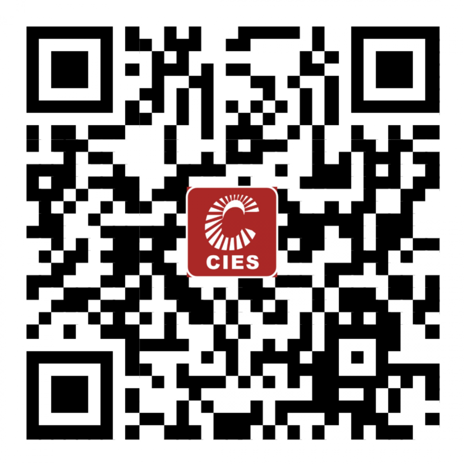 巅峰智业夜游事业部总经理姜雨薇 确认出席2022中国照明设计师大会