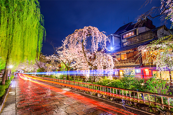 公园泛光照明设计为城市夜景添光彩