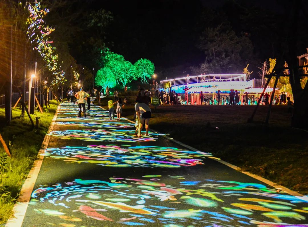 湖北咸宁青龙山公园夜景灯光“闪亮登场”