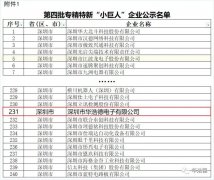 华浩德电子荣获国家级专精特新“小巨人” 企业