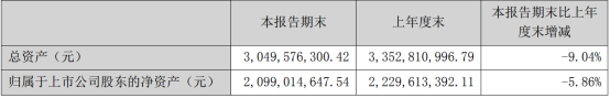 三雄极光上半年营收11.01亿元，同比预减1.32% 