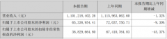 三雄极光上半年营收11.01亿元，同比预减1.32%