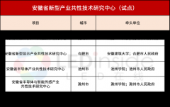 安徽省建设新型产业研究中心，涉及新型显示、集成电路等产业