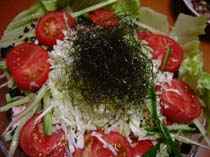 海藻切碎机“Kizamail”型号NC-8000S 海藻切碎机“Kizamail”型号NC-8000S