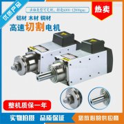 抛光高速电机的介绍