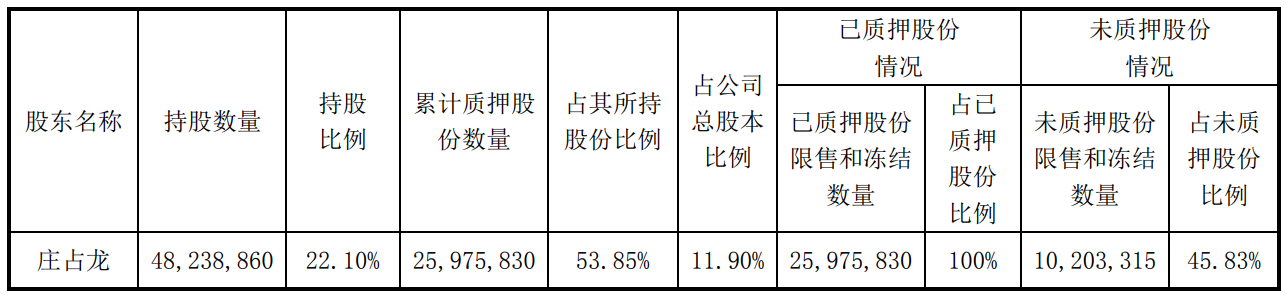 太龙电子控股股东部分股份质押延期购回 