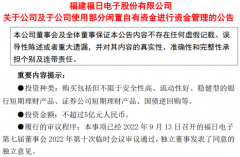 福日电子拟使用不超过5亿人民币额度闲置自有资金进行资金管理