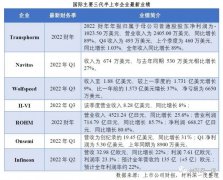 2022 H1第三代半导体产业进展梳理之国内外企业布局