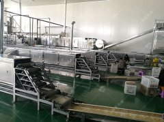 水晶粉皮加工设备,粉皮机自定义调节生产所需规格类型