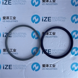 爱泽工业部分到货产品专题及库存——TRELLEBORG格莱圈篇 爱泽工业部分到货产品专题及库存——TRELLEBORG格莱圈篇