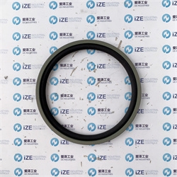 爱泽工业部分到货产品专题及库存——TRELLEBORG格莱圈篇