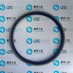 爱泽工业部分到货产品专题及库存——TRELLEBORG格莱圈篇