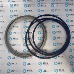 爱泽工业部分到货产品专题及库存——TRELLEBORG格莱圈篇 爱泽工业部分到货产品专题及库存——TRELLEBORG格莱圈篇