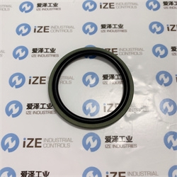 爱泽工业部分到货产品专题及库存——TRELLEBORG格莱圈篇